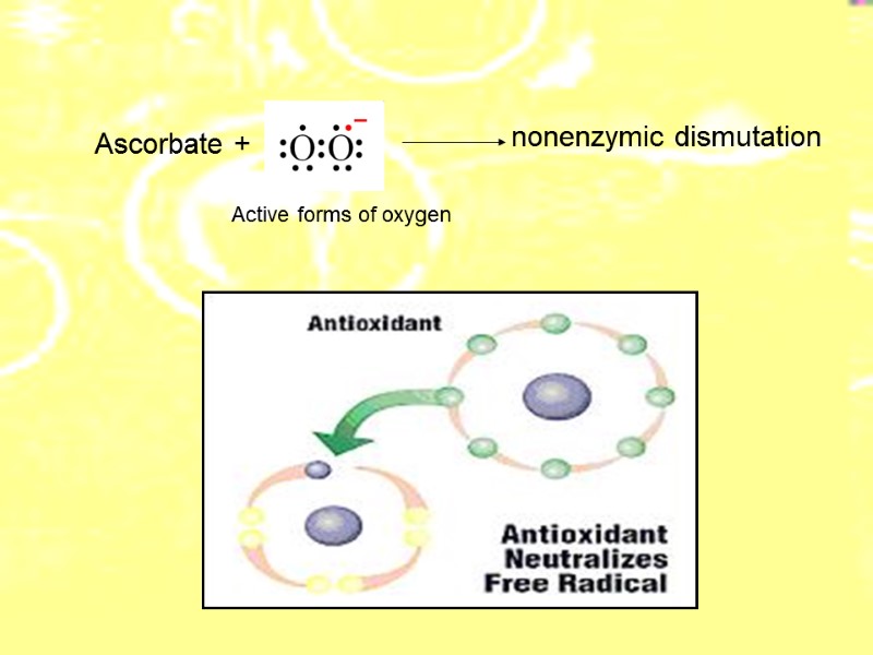 Аscorbate +  nonenzymic dismutation Active forms of oxygen